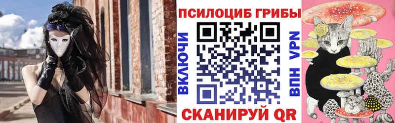 Купить где  Бирюч  Псилоцибиновые грибы Magic Shrooms 